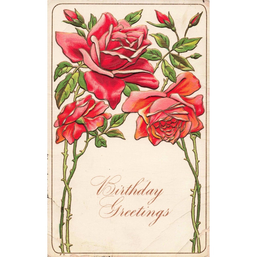 Vtg Embossed Birthday Greetings Postcard Red Roses Divided Back c1910